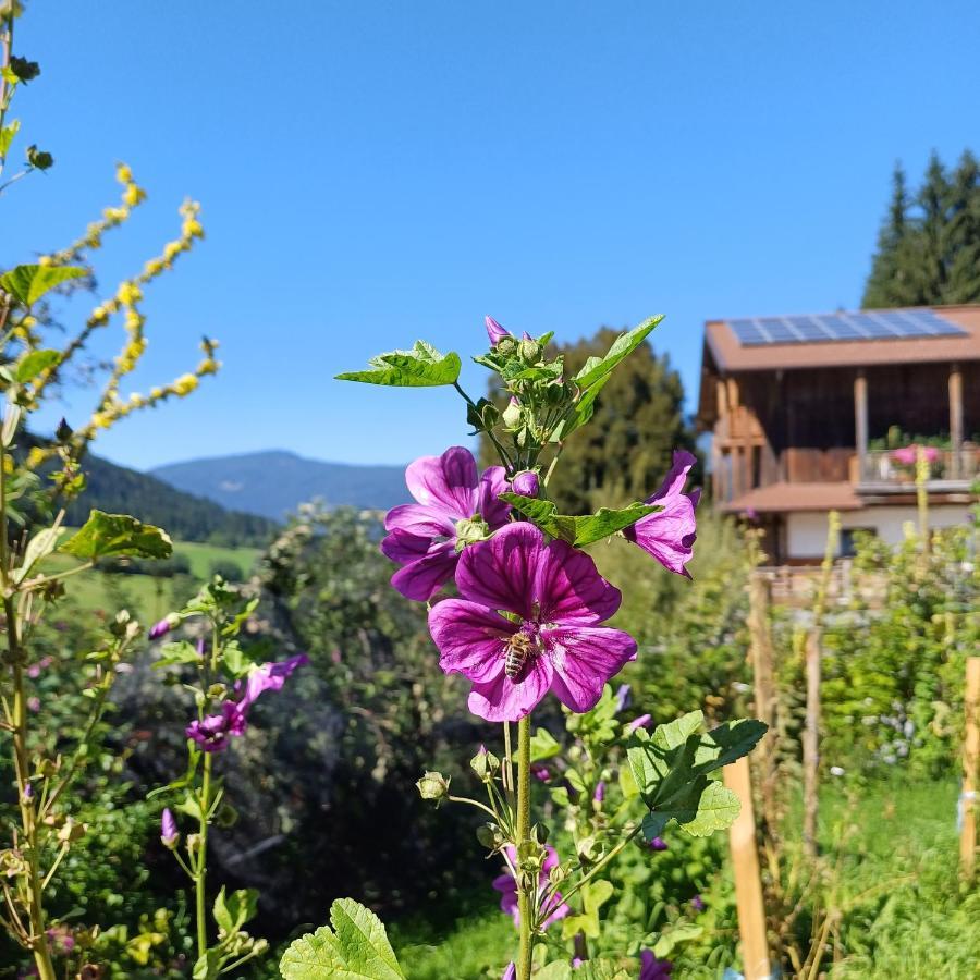 Hotel Tiny House Am Steinergut Radstadt Exterior foto