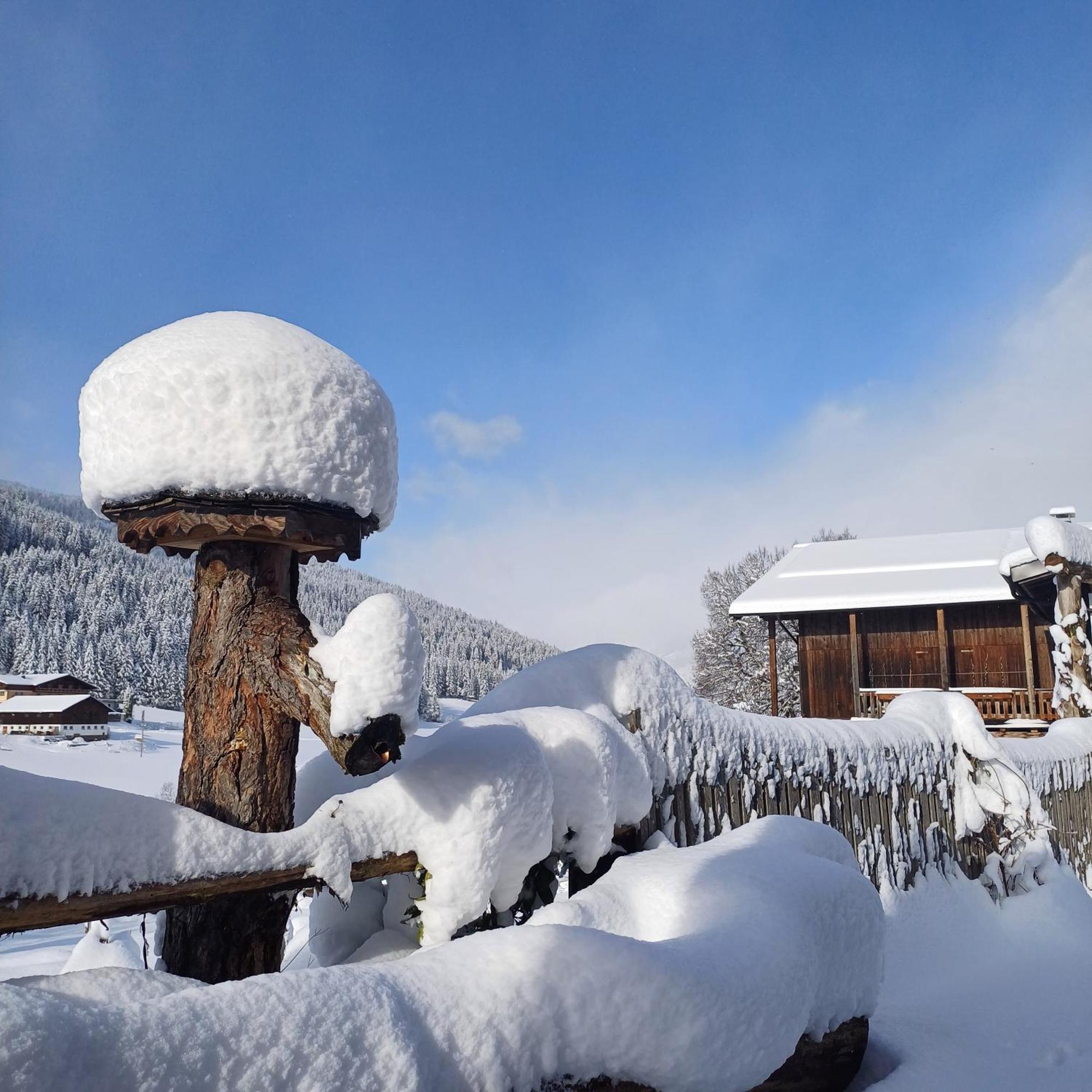 Hotel Tiny House Am Steinergut Radstadt Exterior foto